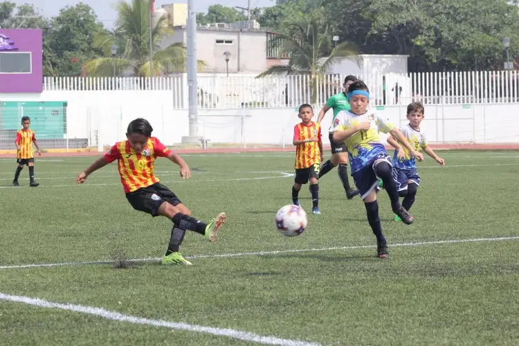 Veracruz a Semifinal de Nacional categoría 2016