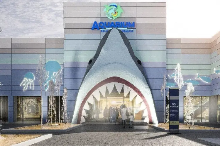 Los Tiburones del 'Pirata' Fuente ahora lucirán en el Aquarium