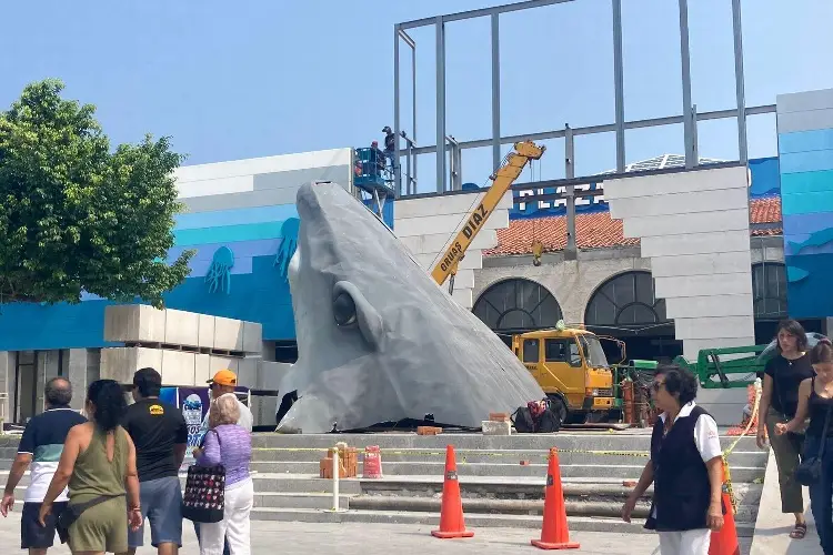 Llega al Aquarium de Veracruz las cabezas de Tiburón del 'Pirata' Fuente