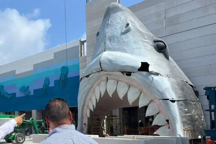 ¡Rota! Así quedó puesta la cabeza de los Tiburones Rojos en el Acuario de Veracruz