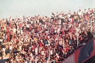 Imagen ¿Cómo se fundaron los Tiburones Rojos de Veracruz?