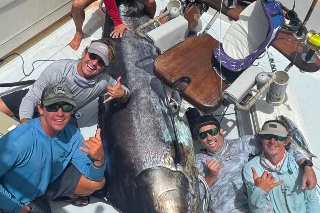 Pescadores veracruzanos  Capturan un Gigante de Más de 400 Kilos 