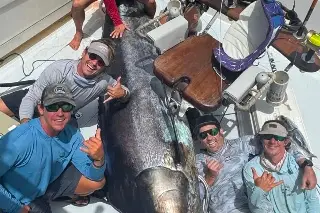 Imagen Pescadores veracruzanos  Capturan un Gigante de Más de 400 Kilos 