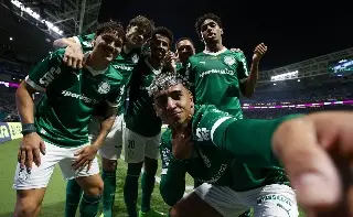 Imagen Hinchas de Palmeiras, sufren emboscada en Río de Janeiro (VIDEO)