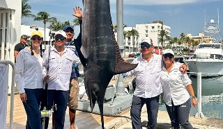 Capturan un gigante de 188 kg en Veracruz durate el Torneo Internacional de Marlín 