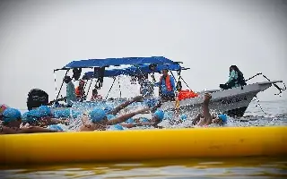 Imagen Albergar&aacute; Veracruz tres selectivos nacionales de nataci&oacute;n 2026 