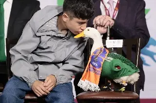 Imagen &iquest;Por qu&eacute; el Pato Merl&iacute;n no puede ir al estadio cuando juega M&eacute;xico?