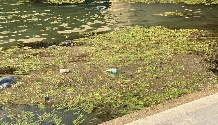 ¡Otra vez cancelados entrenamientos en el Río Sena por contaminación!