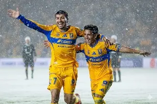 Tigres jugará bajo una fuerte tormenta de nieve