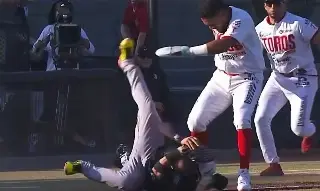 Tremenda pelea campal en la Liga Mexicana de Beisbol (VIDEO)